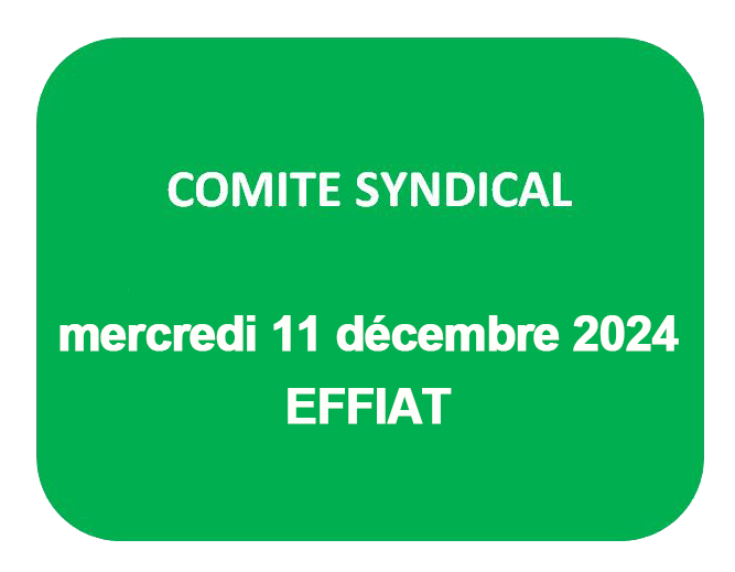 Comité Syndical - 11 décembre 2024